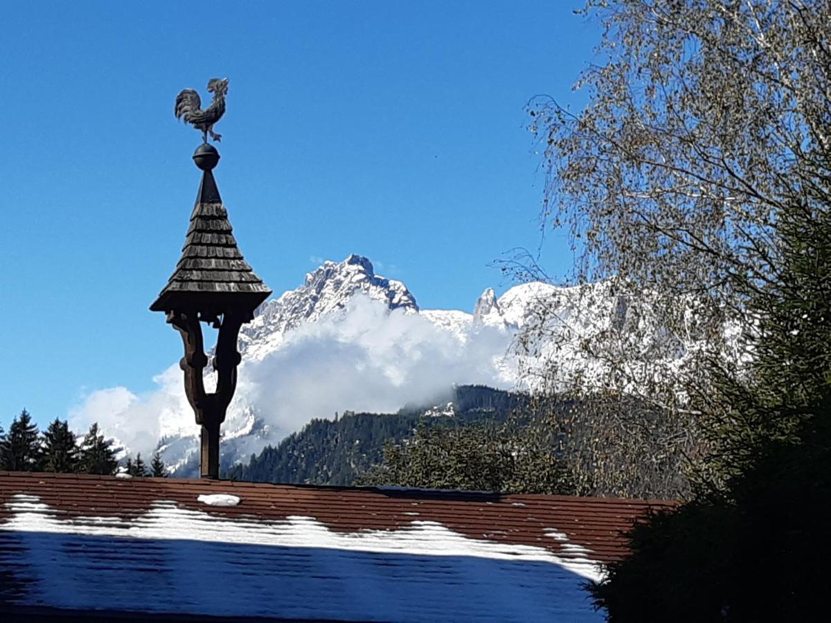 Ferienwohnung Steinberger Bischofshofen Bagian luar foto