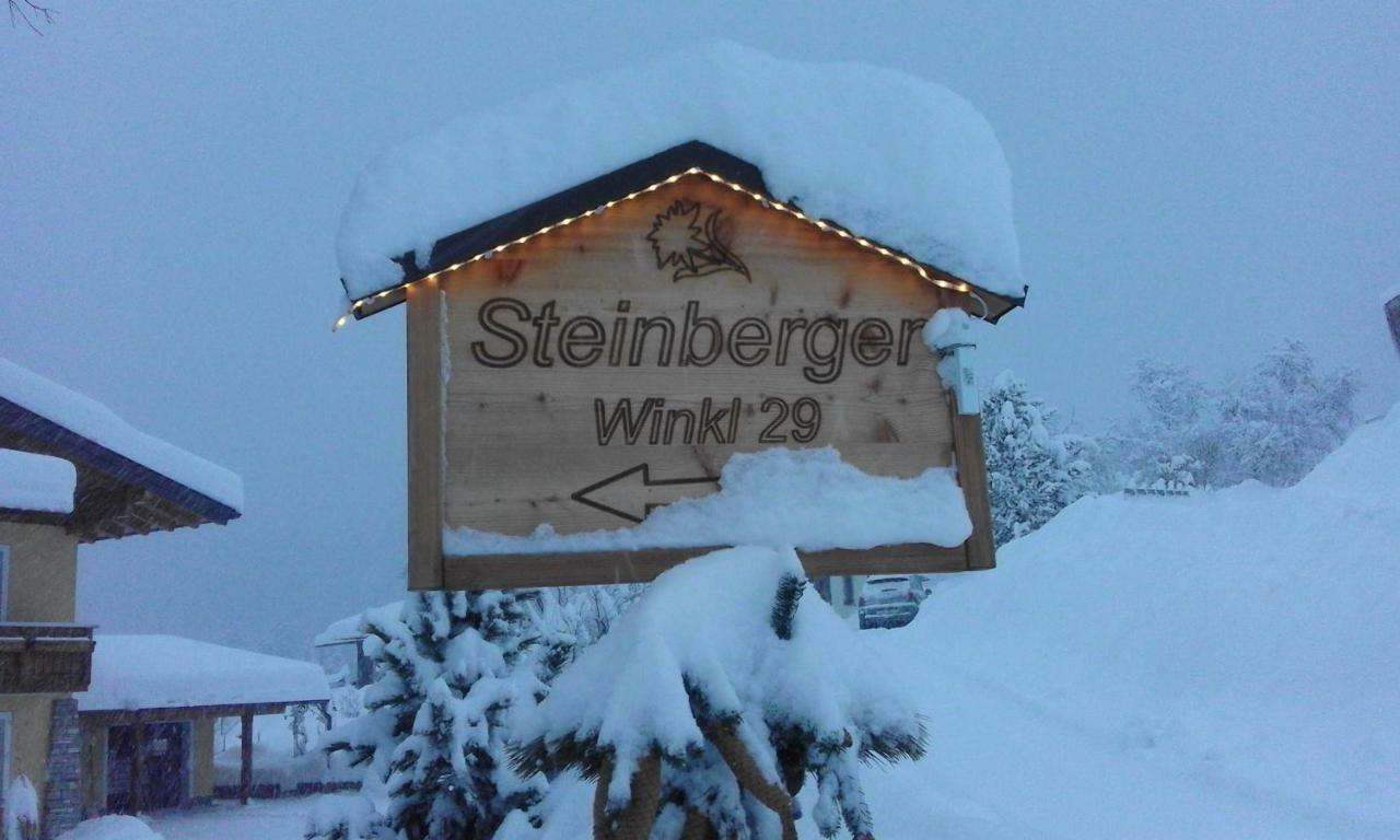 Ferienwohnung Steinberger Bischofshofen Bagian luar foto